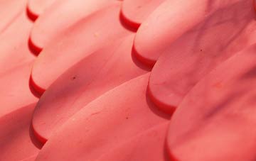 Liurbost plastic roof costs