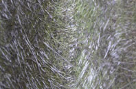 Liurbost fibreglass roof work